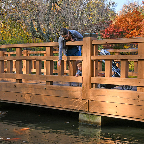 Mother and child feeding koi from wooden bridge
