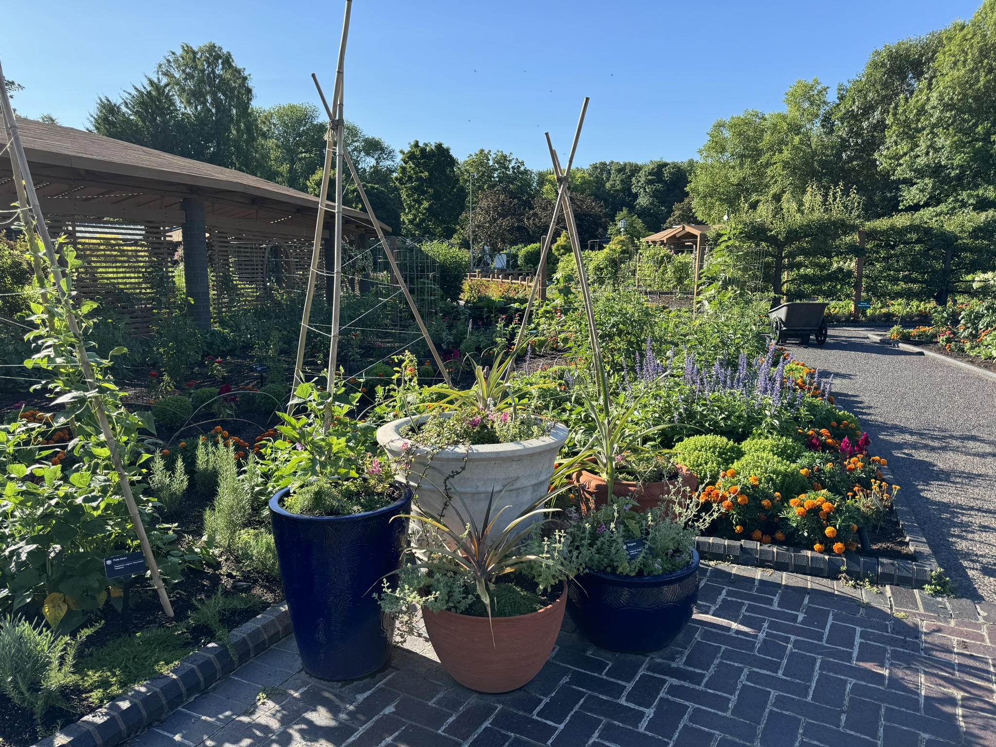 Vegetable Gardening, image size:2048x1536