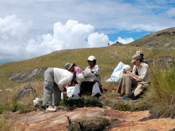Garden researchers conduct field work in Madagascar