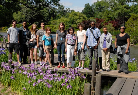 REU Group Japanese Garden