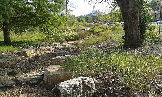 Landscaping