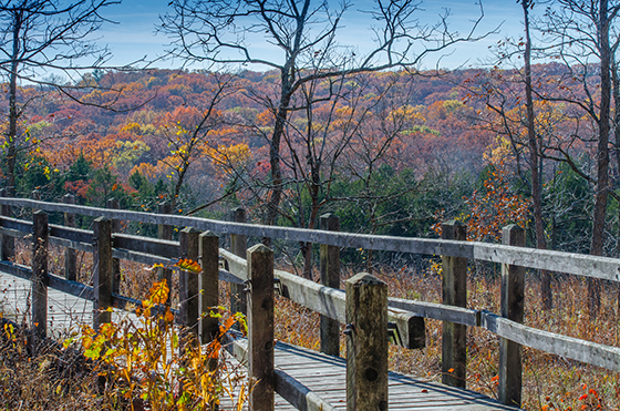 Glade boardwalk