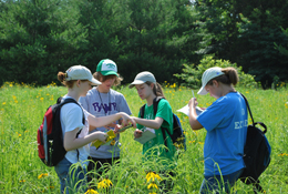 Students surveying prairie flora