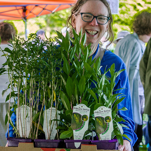 Woman carrying tray of plants