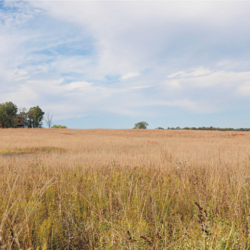 Prairie landscape