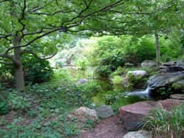 Home Gardening Area