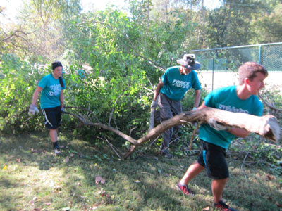 High School students remove bush honeysuckle