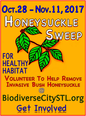 Honeysuckle Sweep flyer