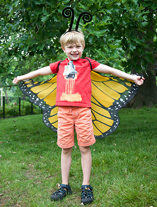 Boy in butterfly costume