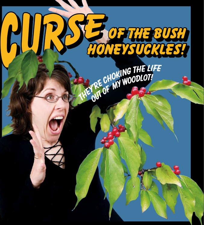 Curse Of The Bush Honeysuckle
