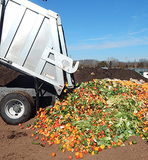 food-waste_300w
