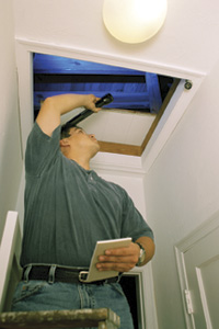 Contractor inspecting an attic