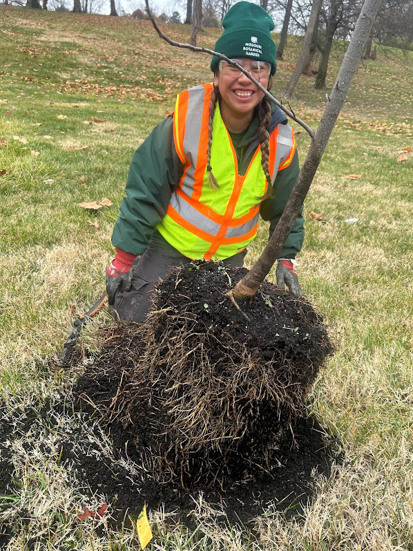 OLC participant planting a tree
