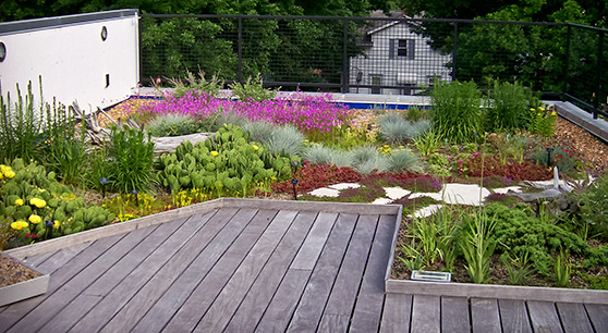 Green roof