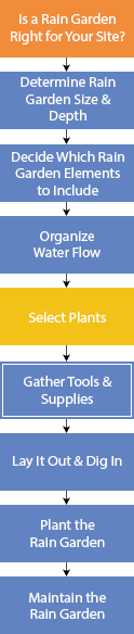 Design and Build a Rain Garden flowchart