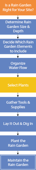 Design and Build a Rain Garden flowchart