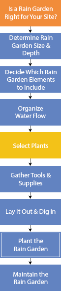Design and Build a Rain Garden flowchart