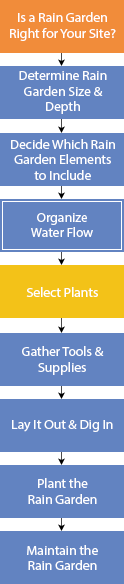Design and Build a Rain Garden flowchart