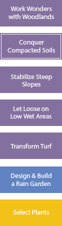 Select Other RainScaping Options flowchart