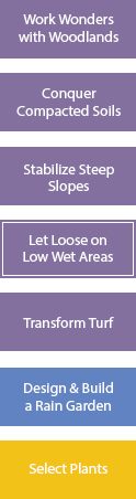 Select Other RainScaping Options flowchart