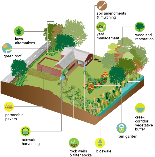 RainScaping graphic