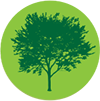 Woodland Restoration symbol