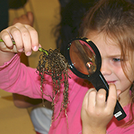 Child looking at roots through a magnifying lens
