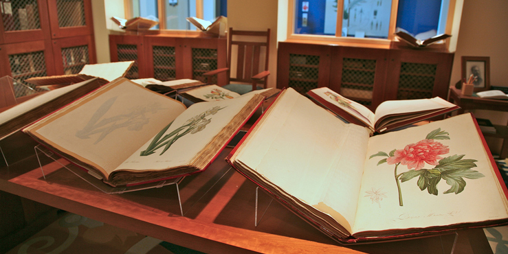 Image Alt Text