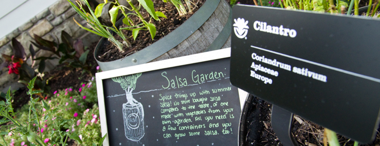 Dig In to Edible Gardening in the Children's Garden