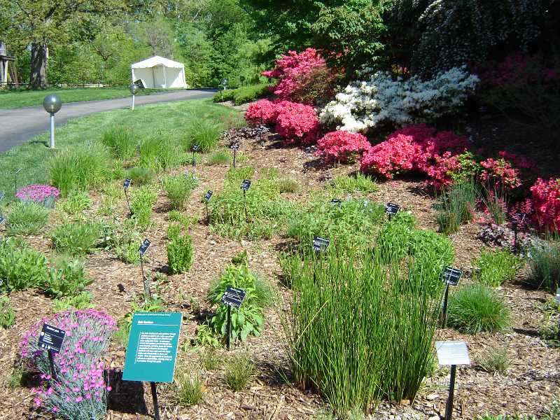 Dealing With Too Much Rain Home Gardening Blog