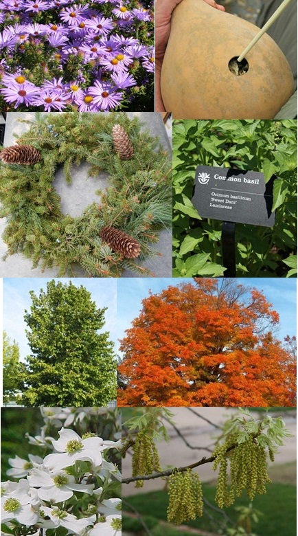 Visual Guide Updates - Kemper Center for Home Gardening ...