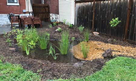 Another  (Majorly!) Successful MSD Rainscaping Small Grants Round is Underway