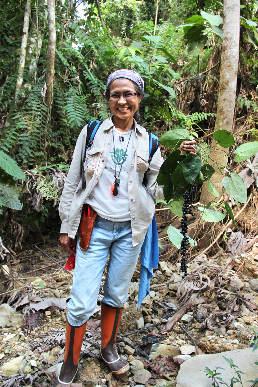 Rosa del C. Ortiz, Ph.D.