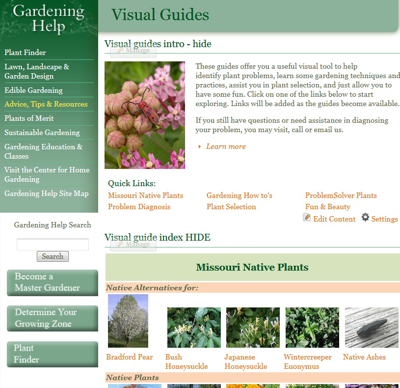 Want More Native Plants in Your Garden?