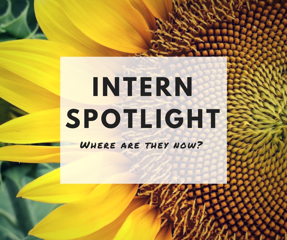 Intern Spotlight - Where are They Now?