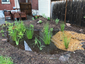 The Project Clear Rainscaping Small Grants Program is Back!