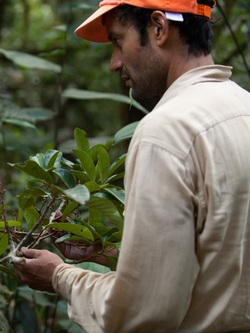 Iván Jiménez, Ph.D.