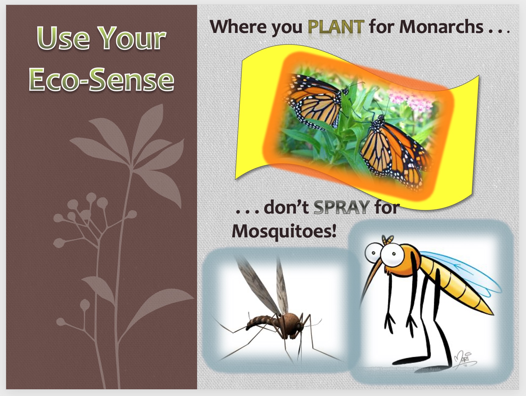 Monarchs-MosquitosGr...