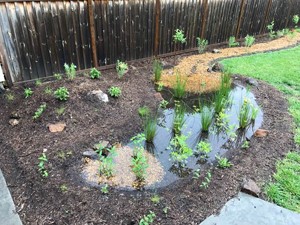 2021 Rainscaping Opportunities Emerge