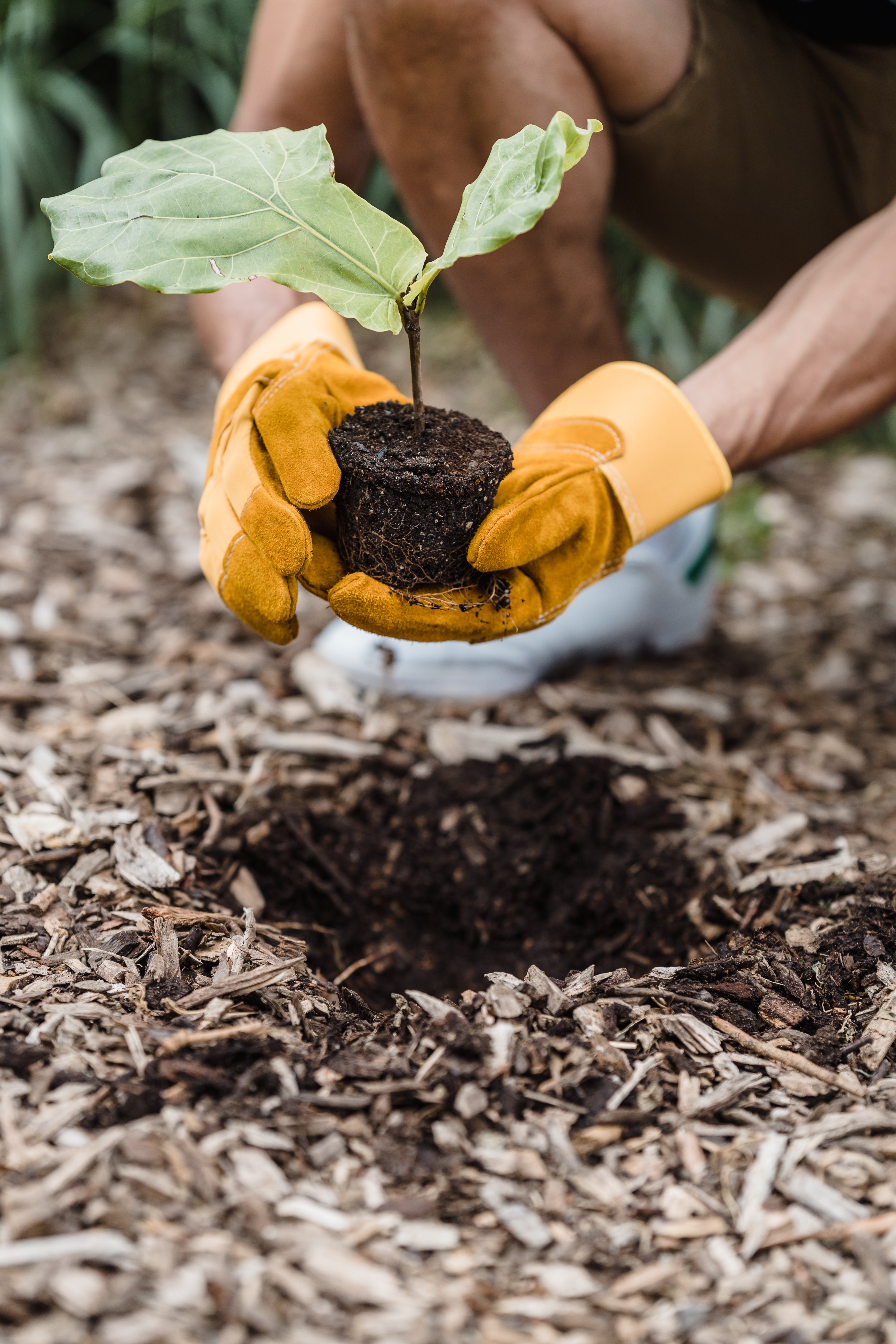 Celebrate Earth Month! 