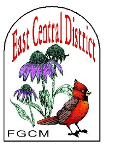 FGCM East Central District logo