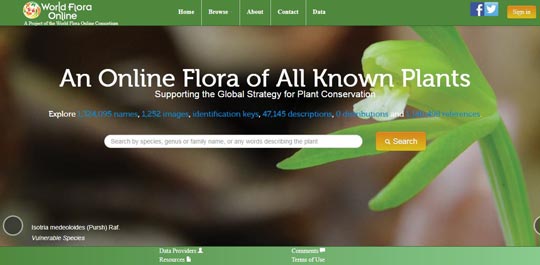 World Flora Online