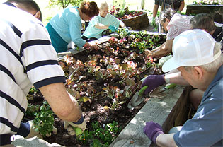 Participants take part in a planting project