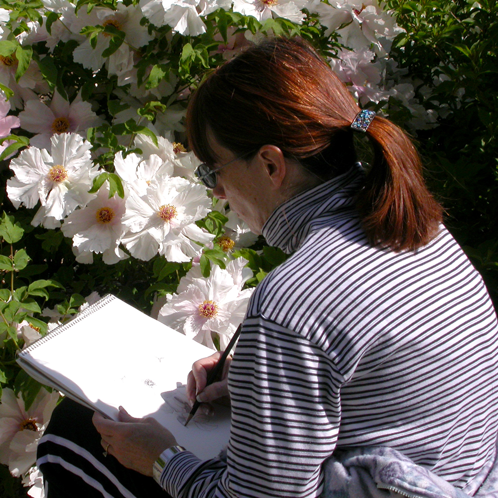 Woman drawing in the garden