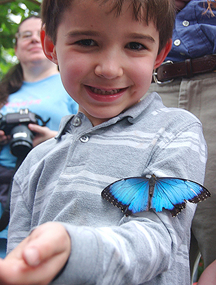 Boy with butterfly