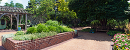 Zimmerman Sensory Garden