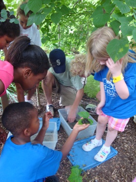 Children expore wetland plants