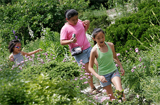 Three girls wander a garden