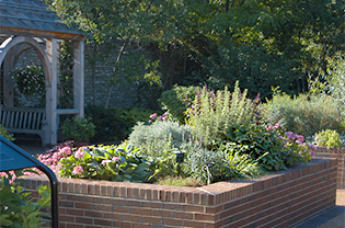 Sensory Garden