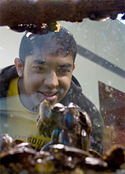 Cub scouts exploring roaches